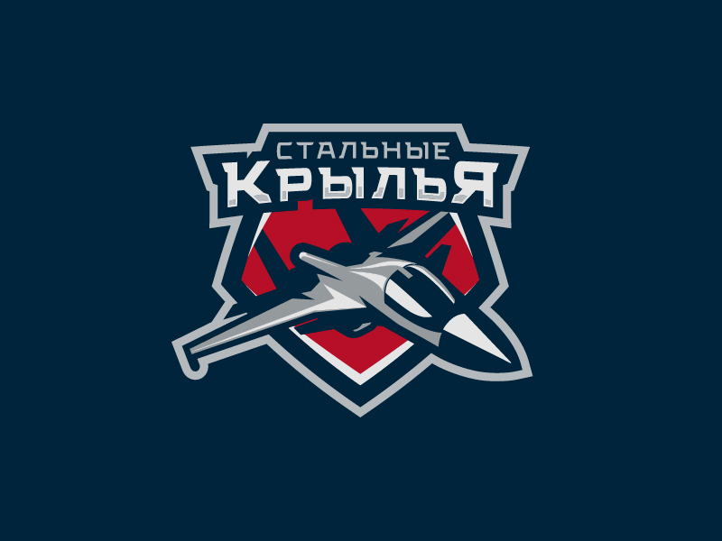 Equipe de Hockey Steel Wings