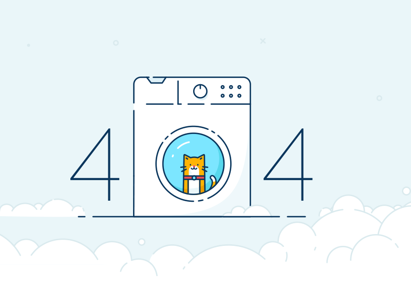 Machine à laver + Chat