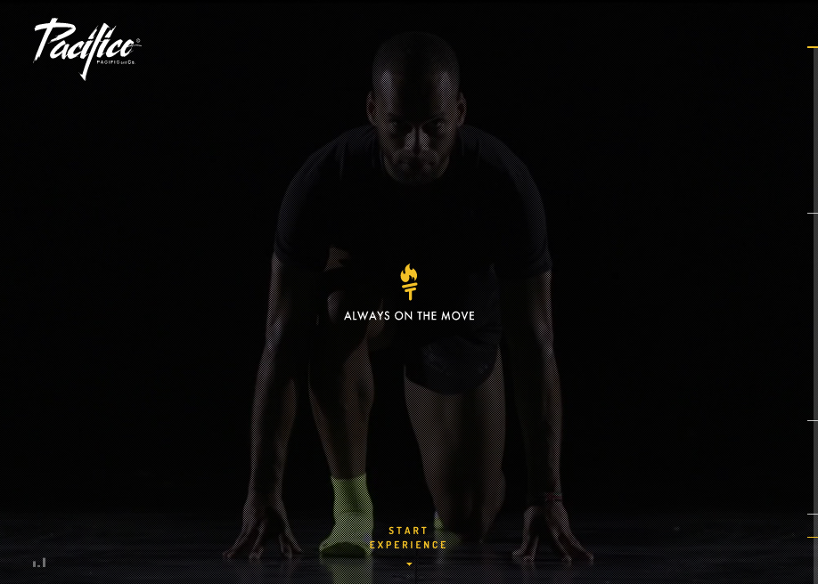 Performance Pacific and Co