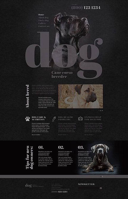 Dark mode inspiration 12